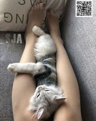 电影《血战三所里》电影免费观看_蓝光在线播放