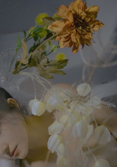 欲望的女人_剧情片神马在线观看